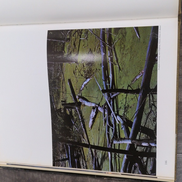 Wilderness Canada Book - Picture 5 of 7